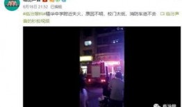 爆料视频很火爆怎么办,揭秘事件背后惊人真相！
